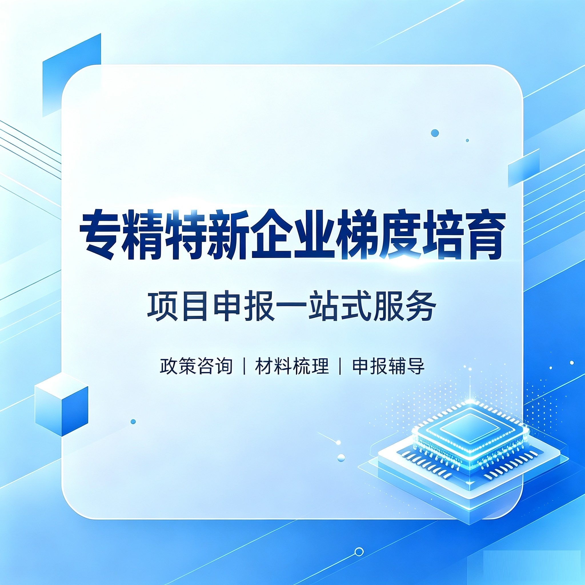 专精特新企业梯度培育(咨询服务)